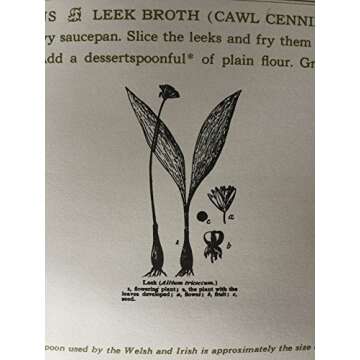 The ARTISTS' & WRITERS' COOKBOOK - Culinary Artistry Unleashed