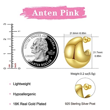 Stylish Anten Pink Chunky Gold Hoop Earrings for Women