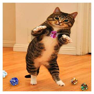 Andiker 10PC Cat Crinkle Balls, 2.36 Inches Multi-Color Chew and Chase Cat Ball Toy Interactive Cat Toys for Indoor Cats Attract to Swat, Bite, Hunt to Kill Time and Keep Fit(10 pcs)