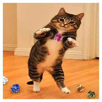 Andiker 10PC Cat Crinkle Balls, 2.36 Inches Multi-Color Chew and Chase Cat Ball Toy Interactive Cat Toys for Indoor Cats Attract to Swat, Bite, Hunt to Kill Time and Keep Fit(10 pcs)