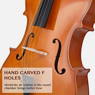 Ktaxon Beginner Cello Set for Students and Adults