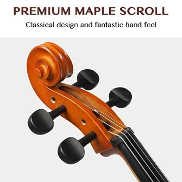 Ktaxon Beginner Cello Set for Students and Adults