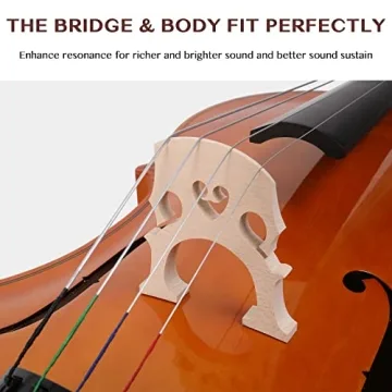 Ktaxon Beginner Cello Set for Students and Adults
