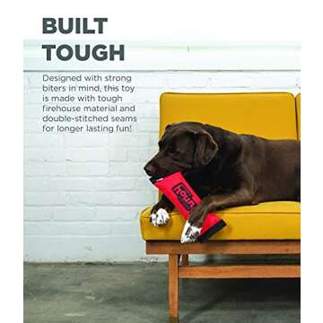 Outward Hound Firehose Fetch Dog Toy for All Sizes