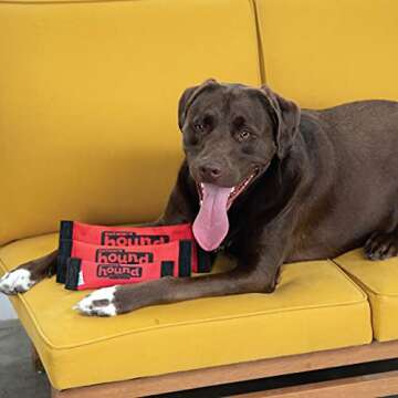 Outward Hound Firehose Fetch Dog Toy for All Sizes