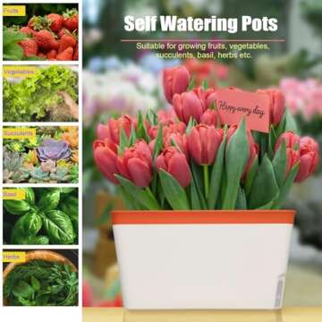 OurWarm Self Watering Herb Planters | Set of 3 Indoor Planters