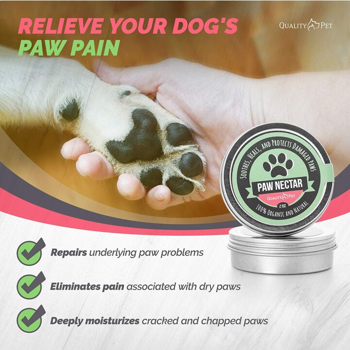 Soothing Dog Paw Balm for Dry and Cracked Paws