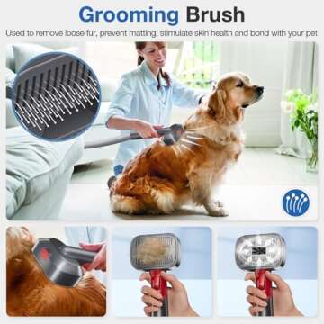 Pet Dog Grooming Kit for Dyson V7 V8 V10 V11 V12 V15