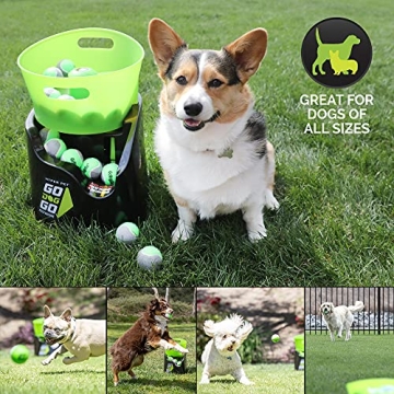 Automatic Dog Ball Launcher for Endless Playtime Fun