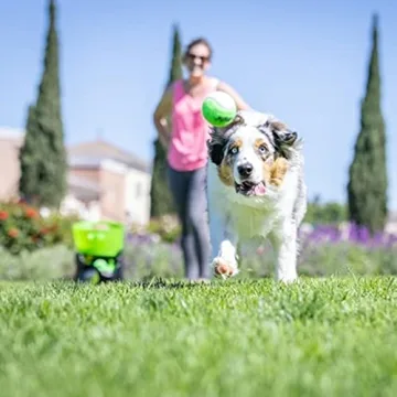 Automatic Dog Ball Launcher for Endless Playtime Fun