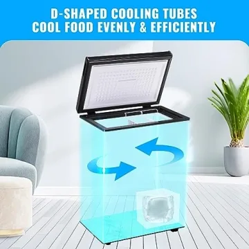 DEMULLER 3.5 CU.FT Chest Freezer with Baskets