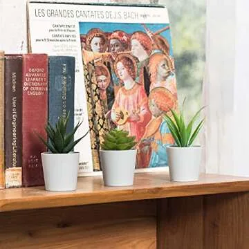 Hejdeco Set of 3 Artificial Mini Succulent Plants