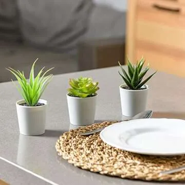 Hejdeco Set of 3 Artificial Mini Succulent Plants