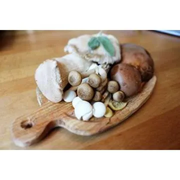 Malt Extract Agar (MEA) 56 grams