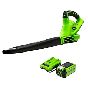 Lightweight Greenworks 40V Leaf Blower/Sweeper for Lawn Care