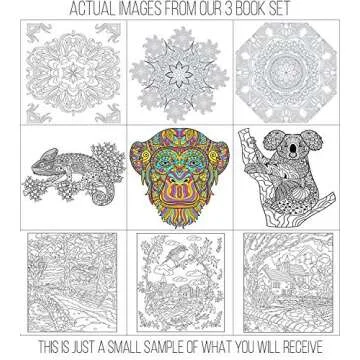 Adult Coloring Books Set Grownups 120 Unique Designs