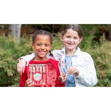 Allergy Friendly YumEarth Organic Peppermint Candy Canes