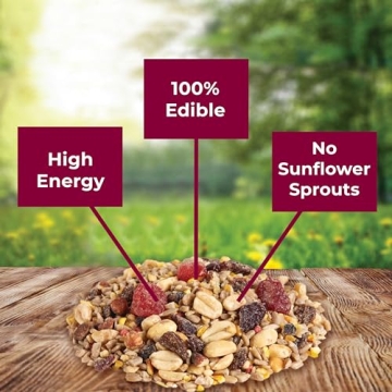 Kaytee No Mess Nut & Fruit Bird Seed Blend for Diverse Birds