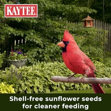 Kaytee No Mess Nut & Fruit Bird Seed Blend for Diverse Birds