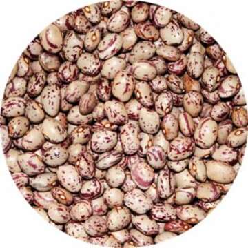 Italian Borlotti Cranberry Beans - 1.1lb Pack of 1