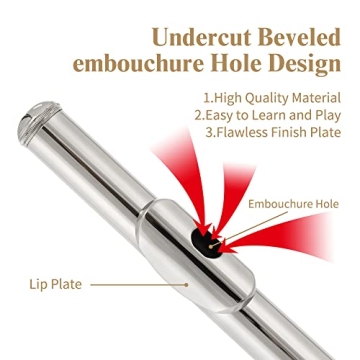 Yasisid Closed Hole C Flute 16 Keys Instrument for Student Beginners with Cleaning Kit, Stand, Carrying Case, Gloves and Tuning Rod