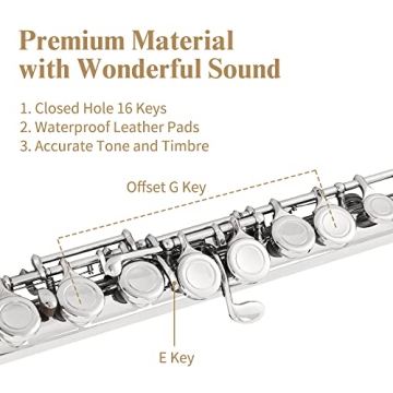 Yasisid Closed Hole C Flute 16 Keys Instrument for Student Beginners with Cleaning Kit, Stand, Carrying Case, Gloves and Tuning Rod