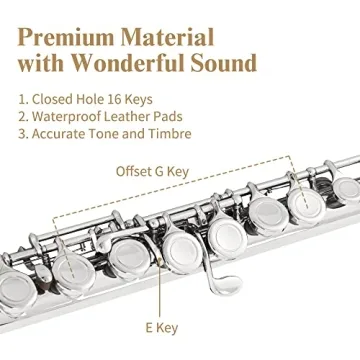 Yasisid Closed Hole C Flute 16 Keys Instrument for Student Beginners with Cleaning Kit, Stand, Carrying Case, Gloves and Tuning Rod