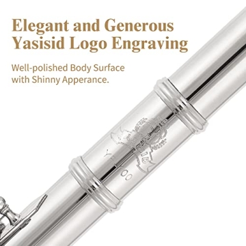 Yasisid Closed Hole C Flute 16 Keys Instrument for Student Beginners with Cleaning Kit, Stand, Carrying Case, Gloves and Tuning Rod