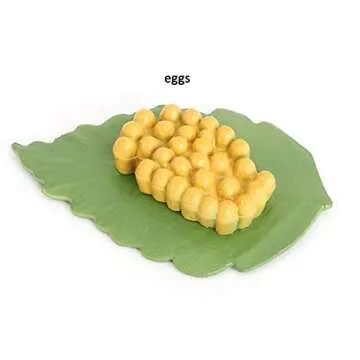 Ladybug Growth Cycle, Animal Growth Cycle Biological Model, Growth Stage Lifelike Ladybug Life Cycle Model Set for Kids Education Insect Themed Party Favors