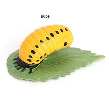 Ladybug Growth Cycle, Animal Growth Cycle Biological Model, Growth Stage Lifelike Ladybug Life Cycle Model Set for Kids Education Insect Themed Party Favors