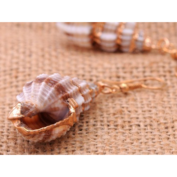 Alilang Brown Golden Seashell Dangle Earrings for Women