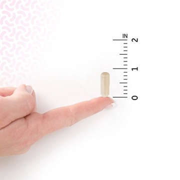 Garden of Life Probiotics for Men 50 Billion CFU 15 Strains