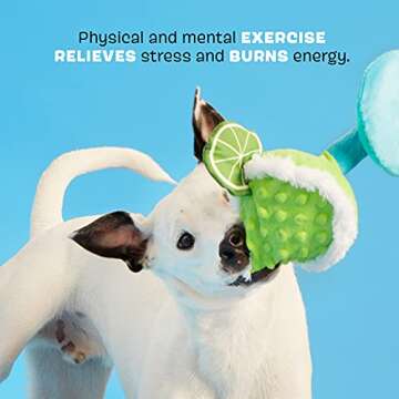 Barkbox Squeaky Dog Toys - Plush and Squeak Chew Toys | Puppy and Pet Toys for Small, Medium, and Large Dogs | Muy Squeaky Margarita