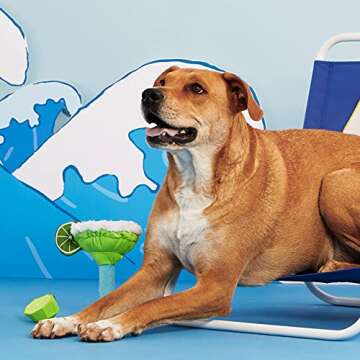 Barkbox Squeaky Dog Toys - Plush and Squeak Chew Toys | Puppy and Pet Toys for Small, Medium, and Large Dogs | Muy Squeaky Margarita