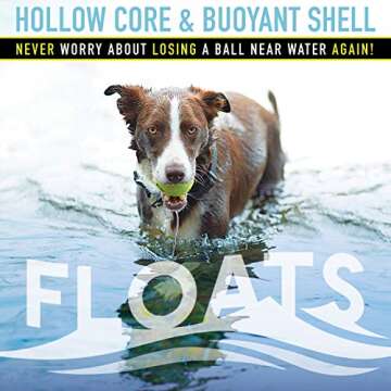 Franklin Pet Supply Co. Squeaky Dog Tennis Balls - Ready Set Fetch Dog Toy Tennis Balls with Squeaker - Perfect Pet Toy Fetch Ball for Small, Medium + Large Dogs - 3 Pack