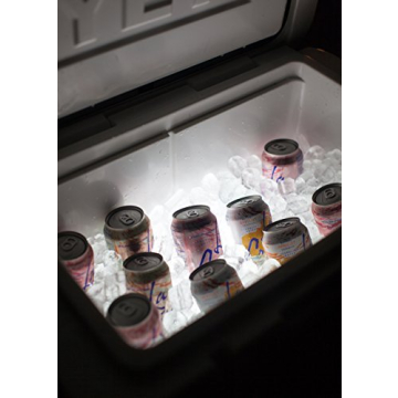 StarBright Rechargeable Cooler Light with USB Charging - Cooler Light for YETI, RTIC, Igloo, Coleman...