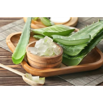 Aloe Wrap for Sunburn Relief | 100% Pure Aloe Vera Gel