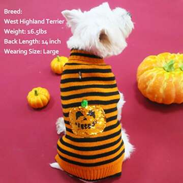 KYEESE Halloween Dog Sweater with Flippable Pumpkin Design
