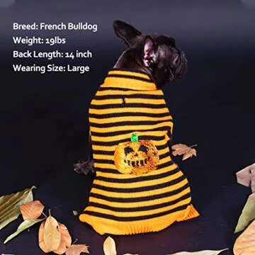 KYEESE Halloween Dog Sweater with Flippable Pumpkin Design