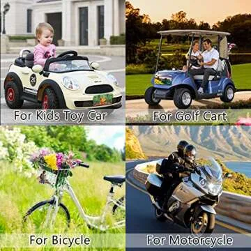 Customizable 10-Pack Mini Aluminum License Plates