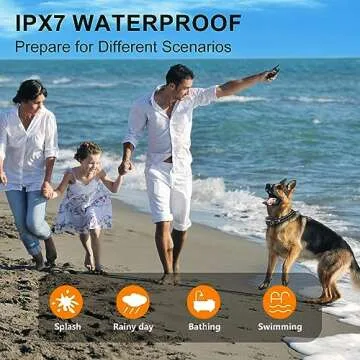 Electric Dog Training Collar - Remote with 4 Modes