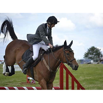 Quality Deluxe Jump Bat 18 Inch Riding Crop for Training