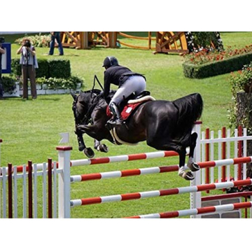 Quality Deluxe Jump Bat 18 Inch Riding Crop for Training