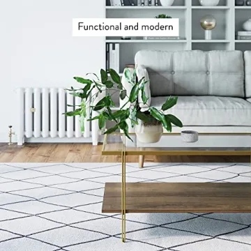 Elegant Nathan James Asher Coffee Table for Modern Homes