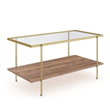 Elegant Nathan James Asher Coffee Table for Modern Homes