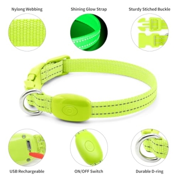 LED Rechargeable Light Up Dog Collar for Safety