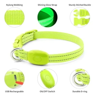 LED Rechargeable Light Up Dog Collar for Safety