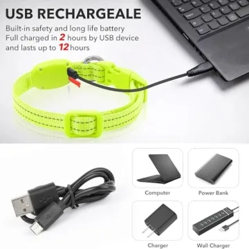 LED Rechargeable Light Up Dog Collar for Safety