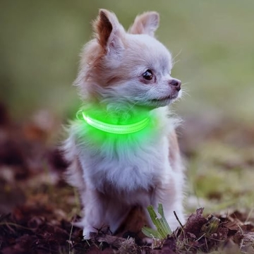 LED Rechargeable Light Up Dog Collar for Safety