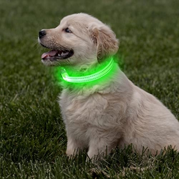 LED Rechargeable Light Up Dog Collar for Safety